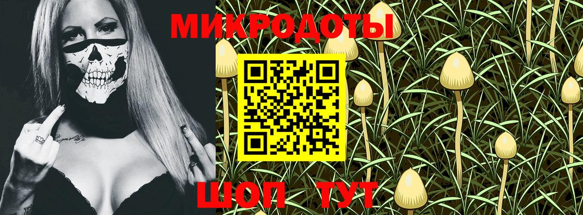 Улан-Удэ  Псилоцибиновые грибы GOLDEN TEACHER  Вход с VPN 
